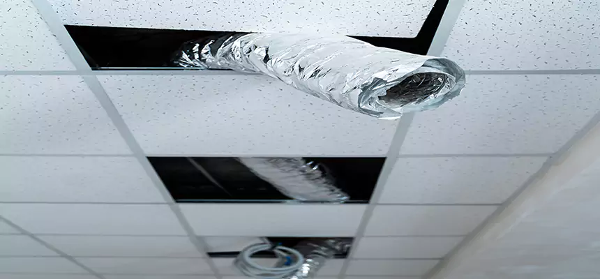 Affordable HVAC Sanitizing After Pest Removal in West Jordan