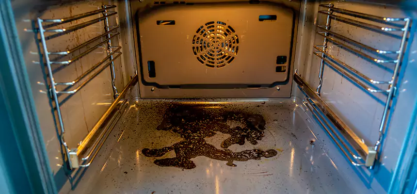 Our Dryer Vent Mold Cleaning Services in West Jordan, UT