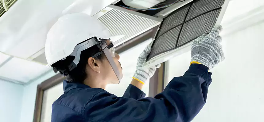 Our Mold & Mildew Removal from Air Ducts Services in West Jordan, UT