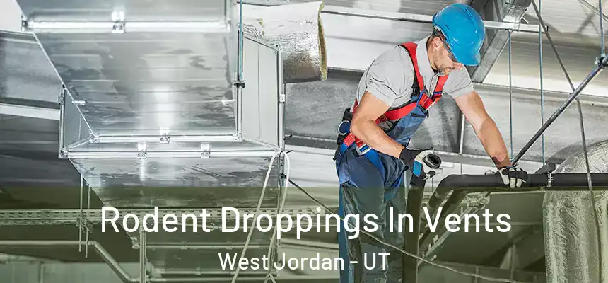 Rodent Droppings In Vents West Jordan - UT
