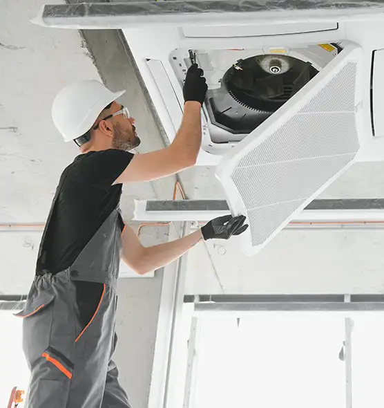 About Air Duct Rodent Removal in West Jordan, UT