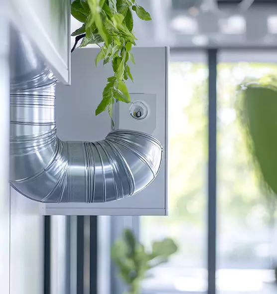 Professional Eco-Friendly Duct Cleaning Services in West Jordan, UT