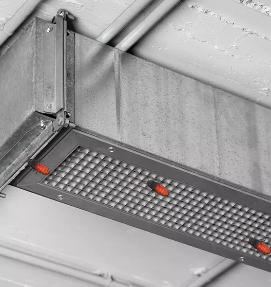 Affordable Insect Removal from Air Ducts in West Jordan, UT