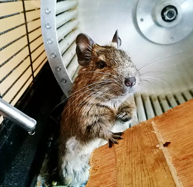 Why Homeowners & Businesses Trust Us West Jordan, UT?